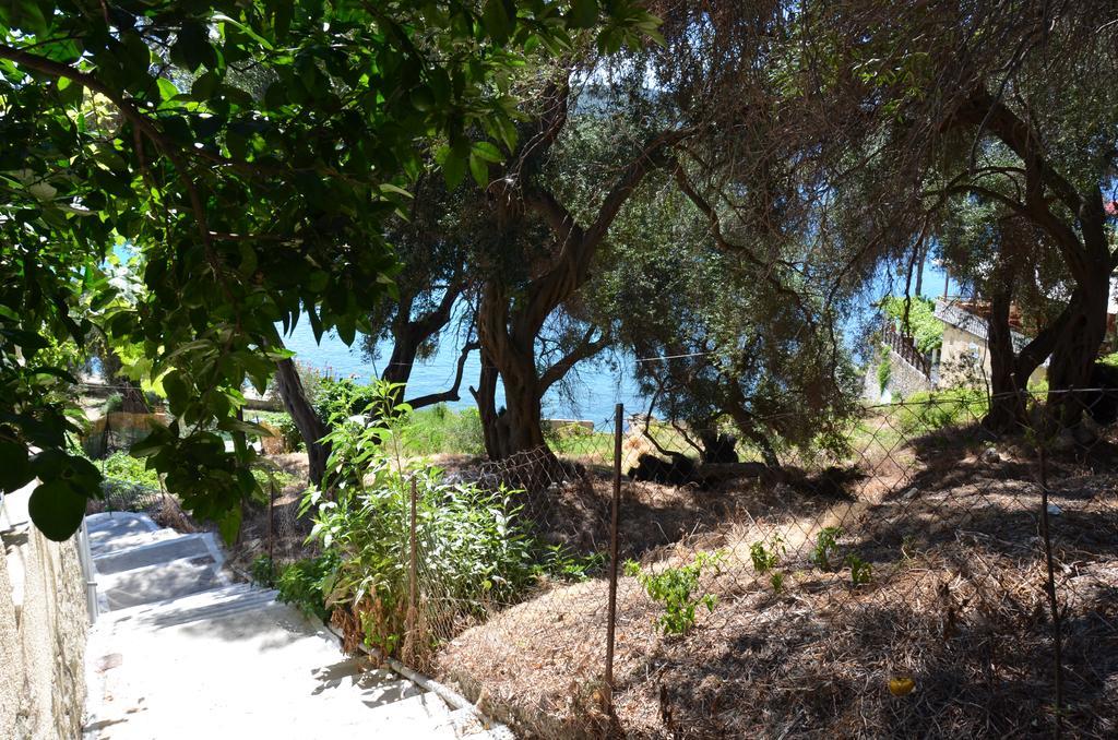 Odysseus Villa Палеокастрица Экстерьер фото